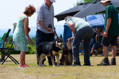 DSC_6699 DSC_6699
