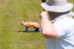 DSC_6731 DSC_6731